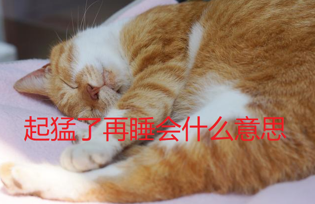 起猛了网络用语是什么梗-起猛了再睡会是什么意思