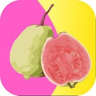 窝窝影院高清版手机版下载大全