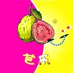 夜月直播app下载版