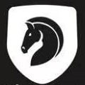 奇异影视2024最新版