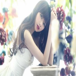 草蹓短视频下载app免费版：畅享无限精彩的移动体验