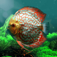 热带鱼水族馆(discus)最新手游版